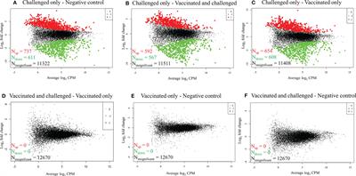 Transcriptomic Analysis of Long-Term Protective Immunity Induced by Vaccination With Mycoplasma gallisepticum Strain ts-304